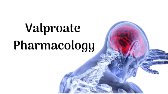 Valproate Pharmacology